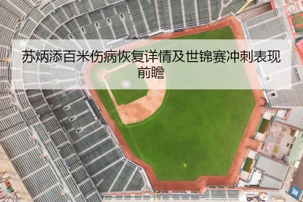 苏炳添百米伤病恢复详情及世锦赛冲刺表现前瞻 | Leyu